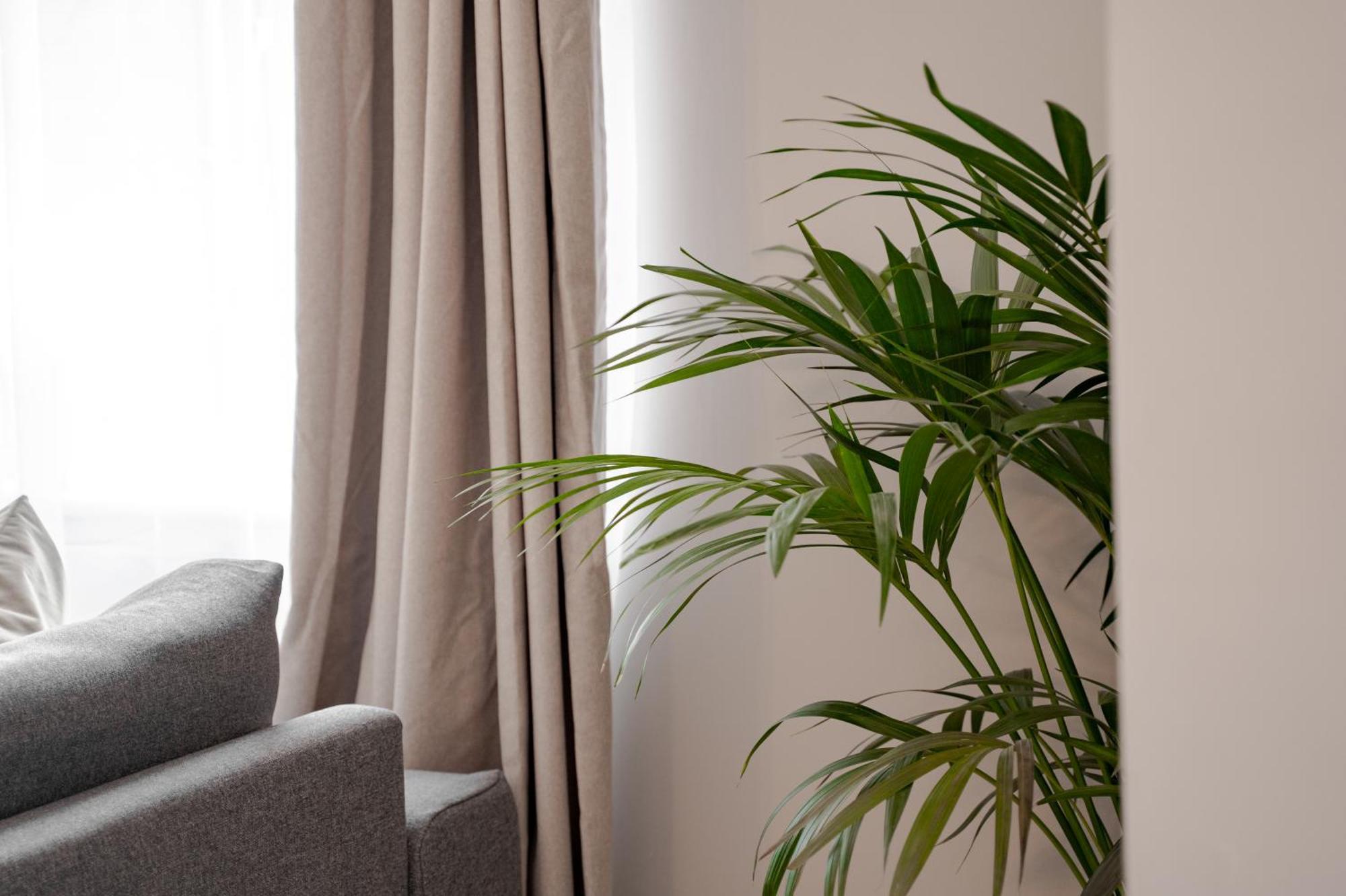Stylish & Recently Refurbished Chester Apartment - Up To 6 Exteriör bild